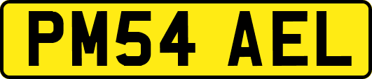 PM54AEL