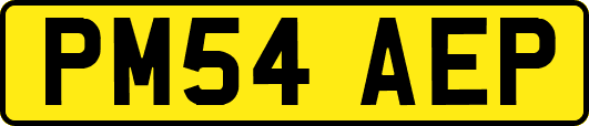 PM54AEP