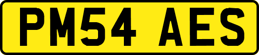 PM54AES