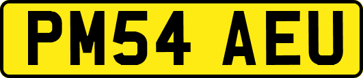 PM54AEU
