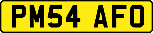 PM54AFO