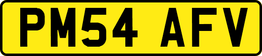 PM54AFV