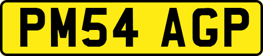 PM54AGP