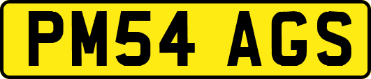 PM54AGS