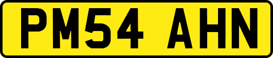 PM54AHN