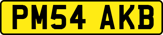 PM54AKB