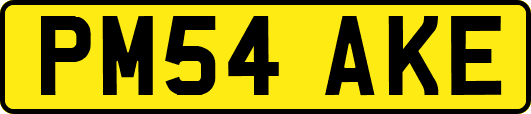 PM54AKE