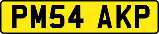 PM54AKP