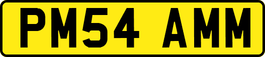 PM54AMM