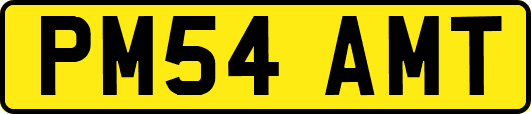 PM54AMT