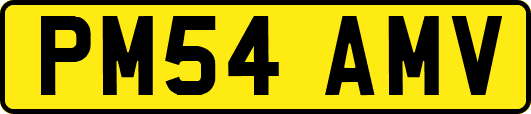 PM54AMV