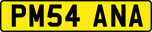 PM54ANA