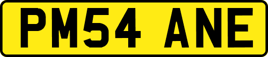 PM54ANE