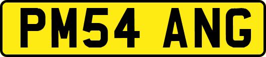PM54ANG