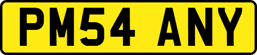 PM54ANY