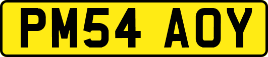 PM54AOY