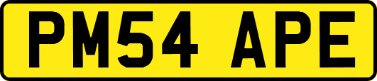 PM54APE