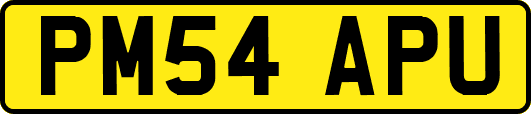 PM54APU