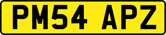 PM54APZ