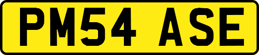 PM54ASE