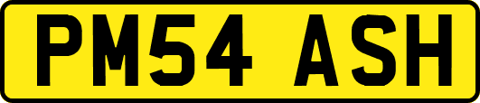 PM54ASH
