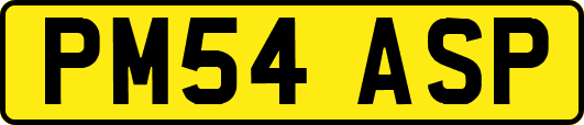 PM54ASP