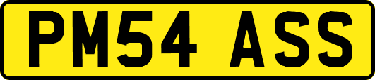 PM54ASS