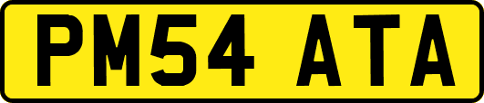 PM54ATA