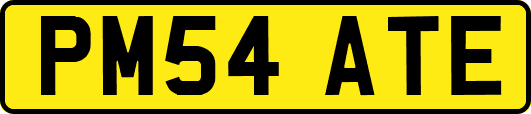 PM54ATE