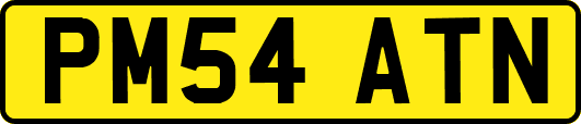 PM54ATN