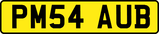 PM54AUB