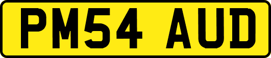 PM54AUD
