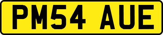 PM54AUE