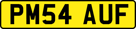 PM54AUF