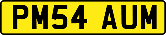 PM54AUM