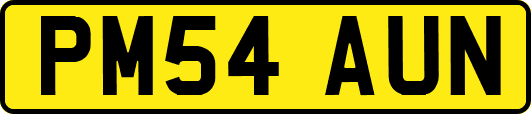 PM54AUN