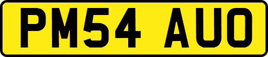 PM54AUO