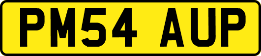 PM54AUP