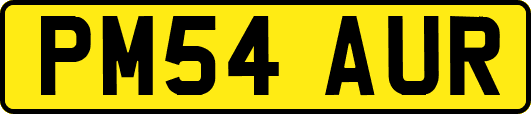 PM54AUR