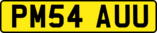 PM54AUU