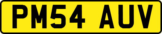 PM54AUV