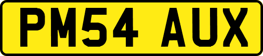 PM54AUX