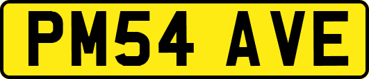 PM54AVE