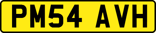 PM54AVH