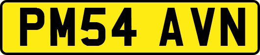 PM54AVN