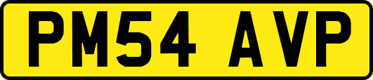 PM54AVP