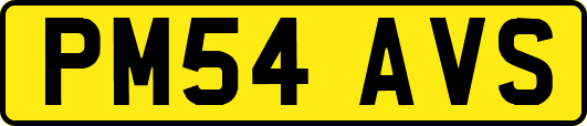 PM54AVS