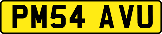 PM54AVU