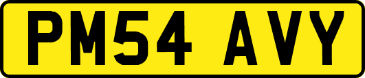 PM54AVY