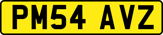 PM54AVZ